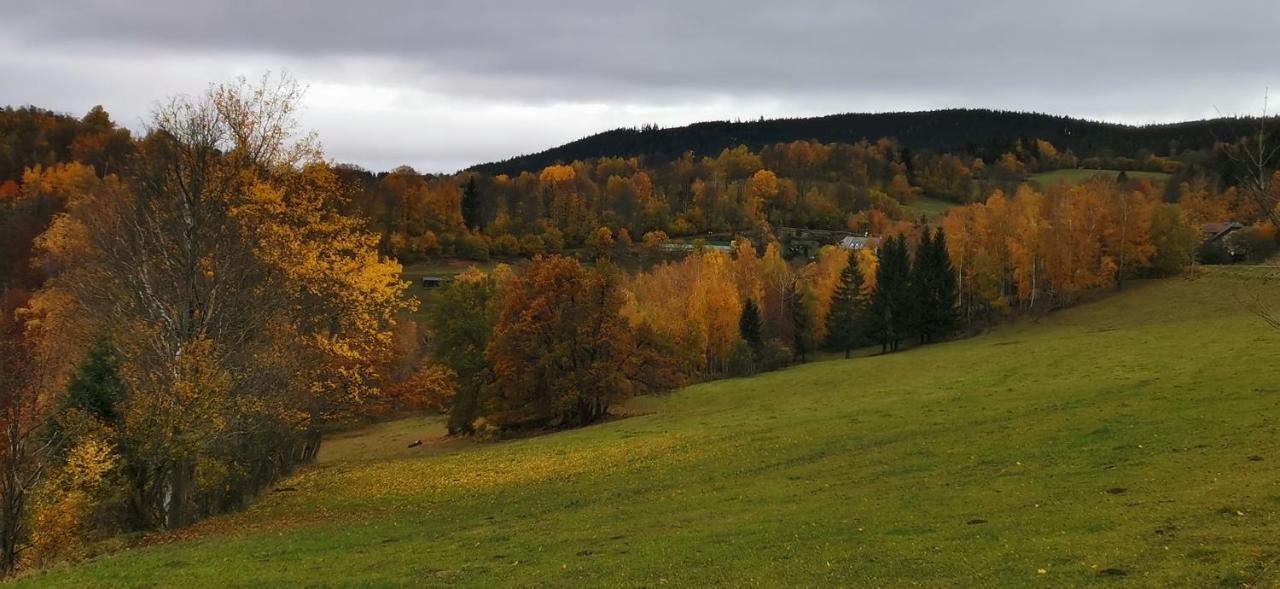 Hotel Zlaty Potok Nicov  Kültér fotó