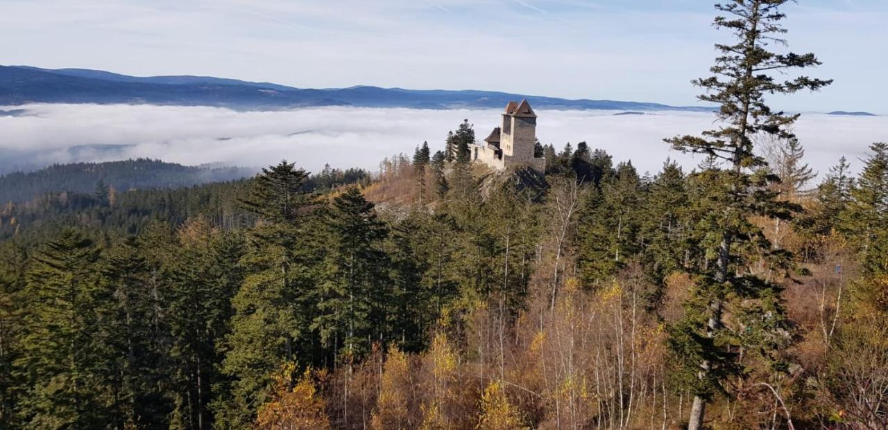 Hotel Zlaty Potok Nicov  Kültér fotó