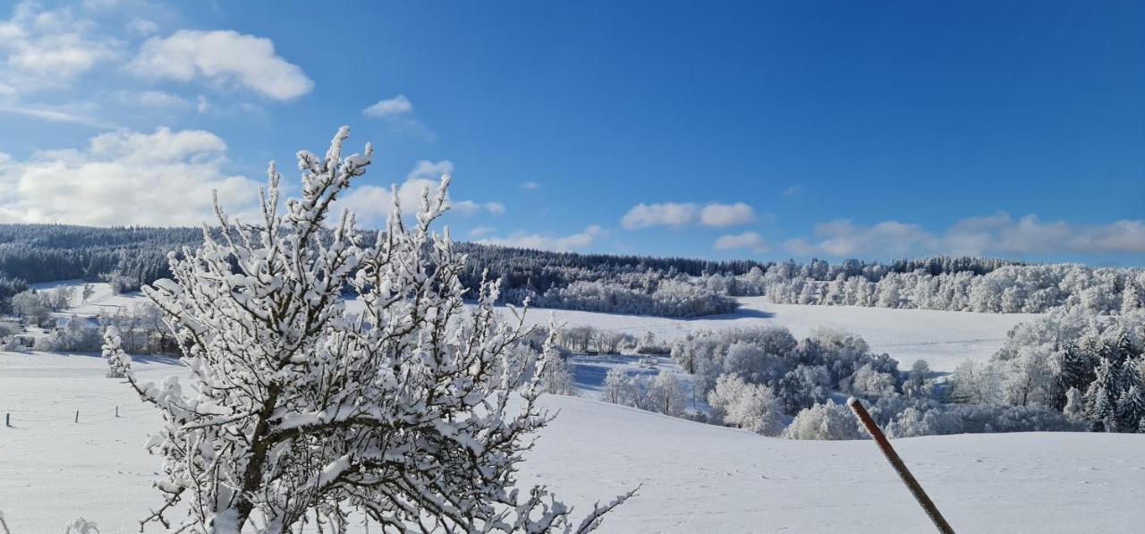 Hotel Zlaty Potok Nicov  Kültér fotó