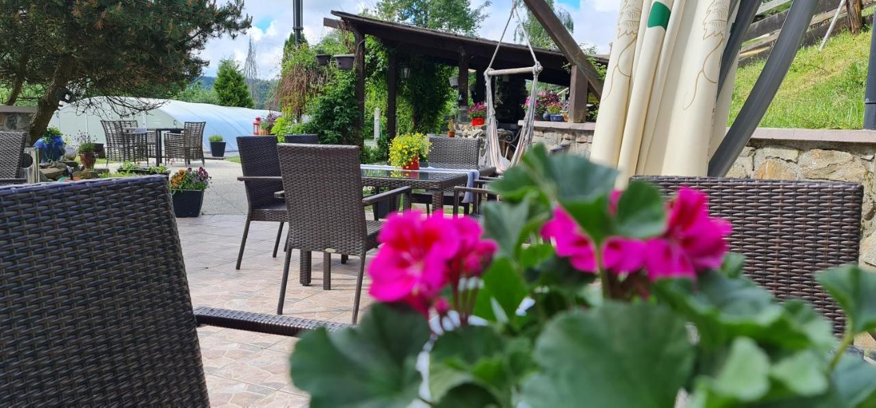 Hotel Zlaty Potok Nicov  Kültér fotó