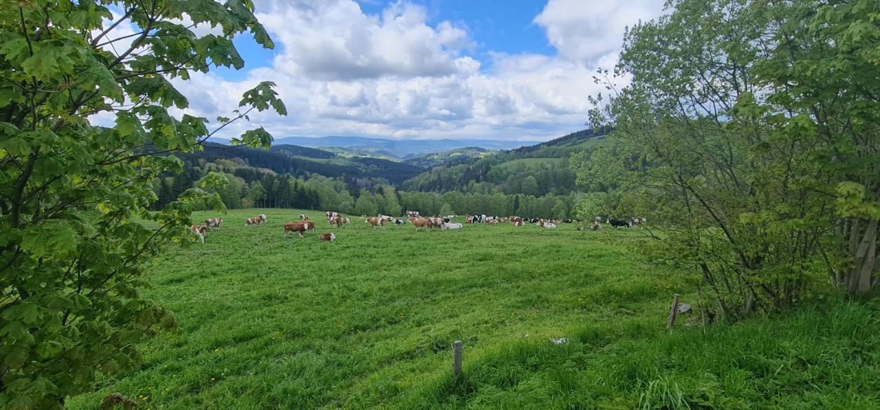 Hotel Zlaty Potok Nicov  Kültér fotó